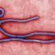 Ebola